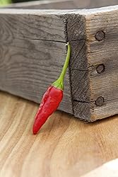 African Pequin Birds Eye Heirloom Pepper Premium