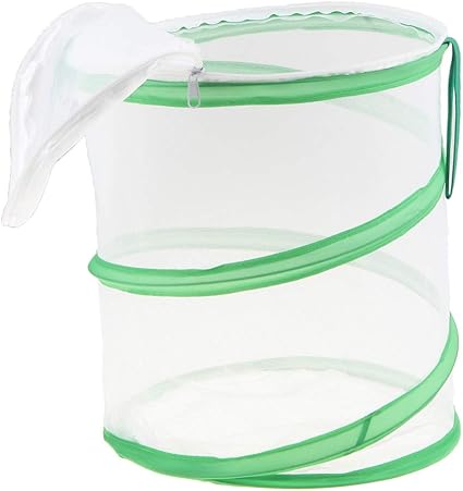 Amazon Co Jp Perfeclan 昆虫ケージ 折り畳み 虫かご 昆虫テラリウム 昆虫孵化 生息地 蝶ケージ 子供 おもちゃ 生態 昆虫採集 1 おもちゃ