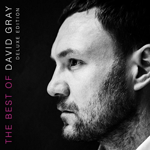 David Gray - The Best Of David Gray: 2lp Deluxe Vinyl - Uk Edition - Zortam Music