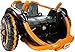 Power Wheels Wild Thing, Orange