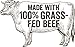 Wild Zora Meat & Veggie Bars, BBQ Beef, 10-Pack, 100% Grass Fed Beef, Healthy Jerky Paleo Snacks with Veggies, Gluten Free, Soy Free, High Protein, No Added Sweetener, Beef Jerky Snack Packs