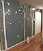 PopDecals Three Big Birch Trees - Removable Vinyl Art Wall Decals Stickers Murals