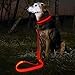 Illumifun LED Dog Leash, USB Rechargeable Light Up Dog Lead, 47.2inch Nylon Glowing Pet Leash for Your Night Dog Walking (RedⅠ)