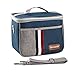 Cooler Insulated Bag/ Handbag/ Lunch Bag Mini/ Picnic Cooler Bag/ Insulated Lunch Bag for Office/School/Picnic,With Shoulder Strap