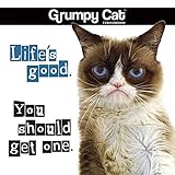 2019 Grumpy Cat Mini Calendar by 