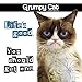 2019 Grumpy Cat Mini Calendar by 