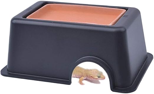 amazon reptile store