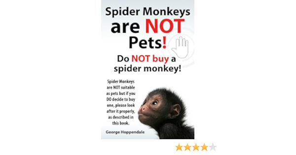 Spider Monkeys Are Not Pets Do Not Buy A Spider Monkey Spider Monkeys Are Not Suitable As Pets But If You Do Decide To Buy One Please Look After It Properly As