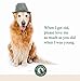 Vet Naturals Hemp & HIPS - Dog Joint Supplement Large Breed - Senior Dog Supplements - Glucosamine and Chondroitin Supplement - MSM & USA Grown Hemp Oil (60ct-Beef and Bacon)