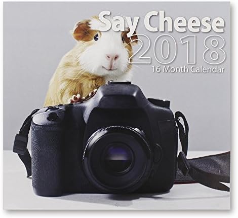Funny Animals Wall Calendar for Appointments 16 Month 2018 - 11x12 inches - 240 Bonus Reminder Stickers Included