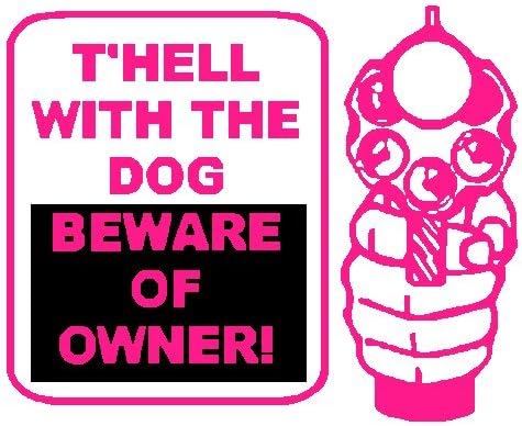 Beware of owner Decal (10 IN, Pink)