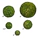 SuperMoss (21807) Moss Balls, Fresh Green, 2