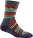 Darn Tough Sierra Stripe Micro Crew Light Cushion Sock - Kid's