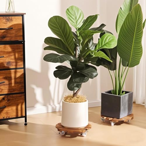Plant Caddy, 2 PCS 14" with 5 Wheels, Rolling Plant Stand 220 LB Heavy Duty, Wooden Plant Dolly with Metal 360° Lockable Caster Wheels, for Outdoor Indoor Large Plant Pots, Flower Pot, Patio (Round)