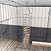 Parrot Fruit Vegetable Stainless Steel Holder,Macaw Foraging Toys,Bird Cage Hanging Food Feed Skewer with Wood Perch for Cockatiel Budgie Parakeet Conure African Grey Cockatoo 2 Pcsthumb 4
