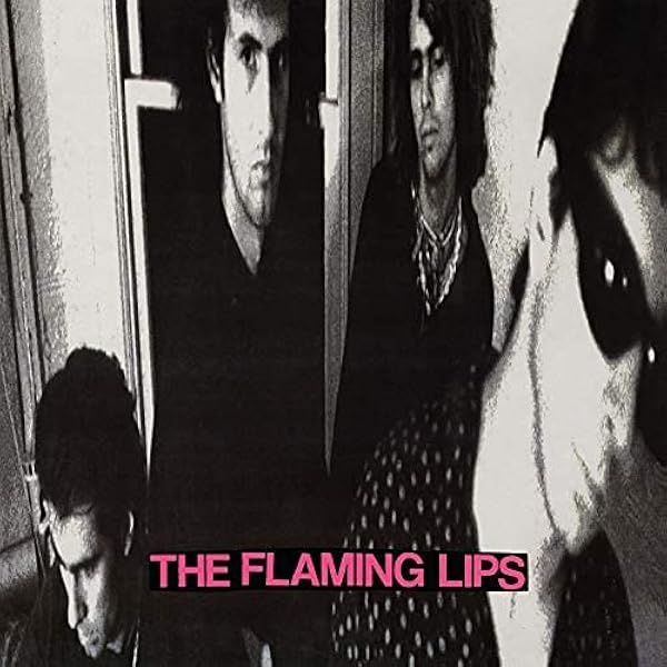 The Flaming Lips - Transmissions From the Satellite Heart - Amazon