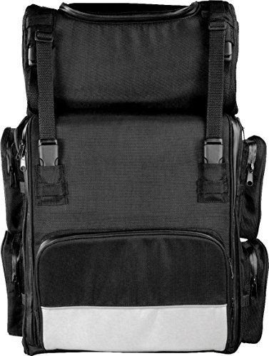2 PIECE MOTORCYCLE MOTORBIKE NYLON SISSY BAR BAR BAG TRAVEL LUGGAGE BLACK NEW