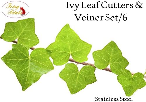 Ivy Leaf Cutters & Veiner Set/6 By Icing Petals