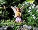 PRETMANNS Fairy Garden Pond Accessories - Miniature Fairies Set – 3 Fairy Figurines & Sign with a Beautiful Large Crafted Lily Pond (8.3