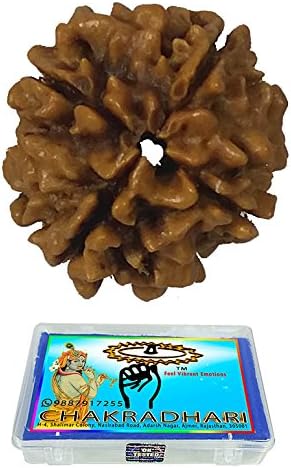 Nakshatra Craft CHAKRADHARITM Natural Mantra Siddha Rare 4 Mukhi Nepal Rudraksha for Women