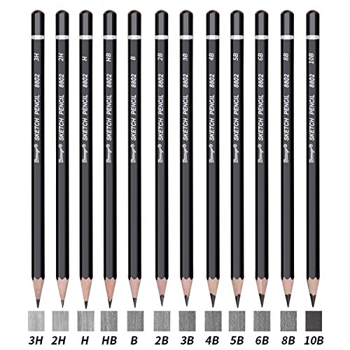 Bianyo Sketch Pencil Drawing Pencils Art Pencils Drawing Kit(12-Piece,3H, 2H, H, HB, B, 2B, 3B, 4B, 5B, 6B, 8B, 10B)