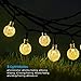 AMIR Solar Powered String Lights, 30 LED 20ft Globe Lights, 8 Lighting Modes Crystal Ball Starry String Lights, Decoration Lights, for Gardens, Home, Party Collectible Accessories(Warm White)
