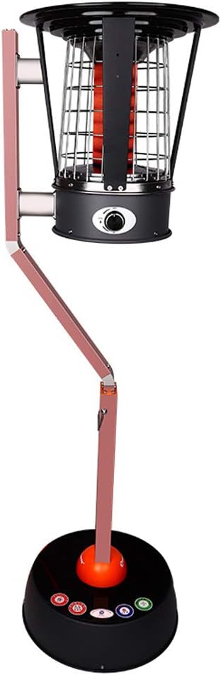 Calentador de Gas Natural/Gas Licuado de Petróleo de 6KW ...