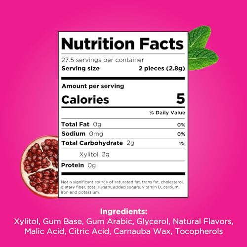 PUR GUM | ASPARTAME FREE CHEWING GUM | 100% XYLITOL | NATURAL POMEGRANATE MINT FLAVORED GUM, 55 PIECES (PACK OF 6)