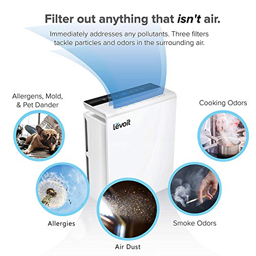 1 LEVOIT+LV+PUR131+Purifier+Allergies+Eliminator