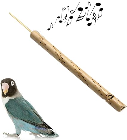 Flute A Oiseaux Flute En Bambou Flute Sifflet Pour Enfants Fait A La Main Instrument De Musique Cadeau Imitation Realiste 1 Piece Livraison Aleatoire Amazon Fr Cuisine Maison