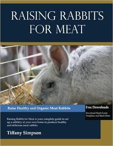 meat rabbit prices