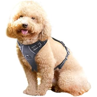 amazon best dog harness