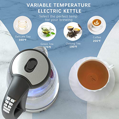 2 HadinEEon+Variable+Temperature+Electric+Protection