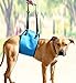 AMZpets Dog Lifting Harness - Small. Assists Pets with Limited Mobility Stand, Climb Stairs, Walk Into Cars Using Ramps. Support Sling for Senior & Injured Canines. Recommended by Veterinarians