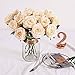 PARTY JOY Vintage Artificial Silk Rose Flower Bouquet Wedding Party Home Decor,Park of 10 (Champagne, 10Pcs)