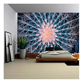 Cactus Close Up - Removable Wall Mural | Self-Adhesive Large Wallpaper - 66x96 inches