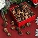 Cooraby 80 Pieces Micro-mini Natural Pine Cones Christmas Natural Pine Cones Ornaments for Home Decoration, Fall and Christmas Crafts