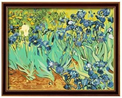 Diy painting, paint by number kit for Adults Beginner-Charming Autumn 1620 inches (Irises by Van Gogh)