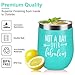 Not a Day Over Fabulous -Funny Birthday Wine Gifts Ideas for Women, Friends,BFF, Best Gifts for Coworkers, Her, Wife, Mom, Daughter, Sister, Aunt - 12oz Stemless Insulated Wine Tumbler with Lid