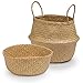 Seagrass Planter Basket | Decorative Woven Belly Basket | Picnic Basket or Indoor Storage for Blankets, Toys or Laundry, by Toma Design (Natural, Large)