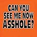 Hot Leathers Can You See Me Now 100% Cotton Double Sided Printed Biker T-Shirt