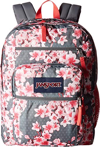 jansport backpack 2019