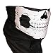 Qinlee Neck Tubular Windproof Skull Face Mask Ghost Harley Ski Seamless
