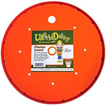 Ups a daisy Ups a daisy