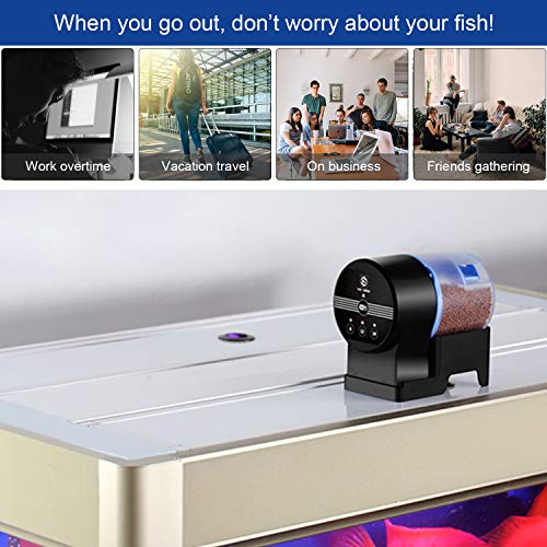 5 DOTSOG+Digital+Automatic+Fish+Feeder