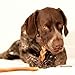 Pawstruck Natural 7” Braided Bully Sticks for Dogs, Tough Long-Lasting, Rawhide-Free, Low Odor, Healthy Single Ingredient Chew Treat for Aggressive Chewers, 10 Count, Packaging May Vary