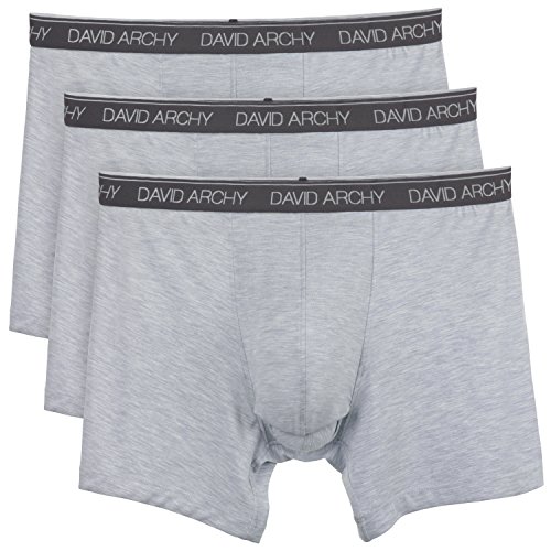 David Archy 3 Pack Men's Underwear Separated Pouches Micro Modal Boxer Briefs(M,Heather Gray)