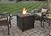 Endless Summer GAD15256SP Gas Outdoor Fire Table LP, Oil Rubbed Bronze