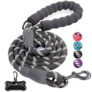 JBYAMUK-5-FT-Strong-Dog-Lead-with-Comfortable-Padded-Handle-and-Highly-Reflective-Threads-for-Small-Medium-and-Large-Dogs-5-FT-Black JBYAMUK 5 FT Strong Dog Lead with Comfortable Padded Handle and Highly Reflective Threads for Small, Medium and Large…