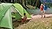 Coleman Evanston™ 6 Tent,Green/White,6-Person